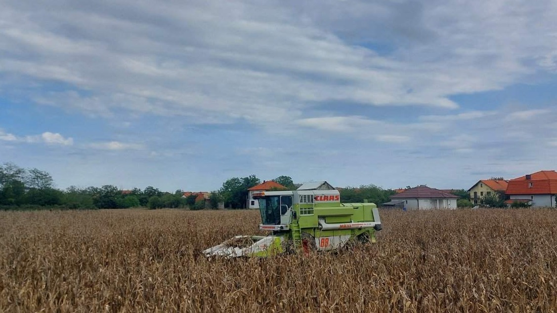 Jesenja žetva i sjetva na vakufskim parcelama Medžlisa Bijeljina: Poljoprivreda je težak ali plemenit posao